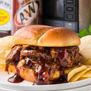 pulled pork sandwich on a plate.