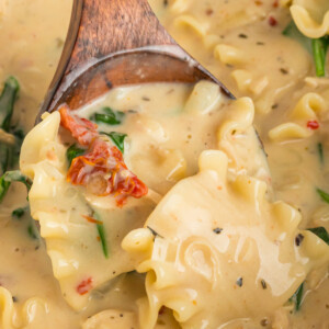 scooping some white lasagna soup out of a slow cooker.